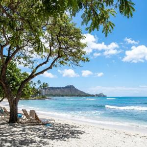 【7月特別企画・期間限定】 HAWAII ハワ...の詳細画像1