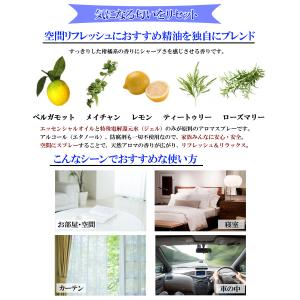 アロマスプレー Air Squash(エアスカ...の詳細画像1