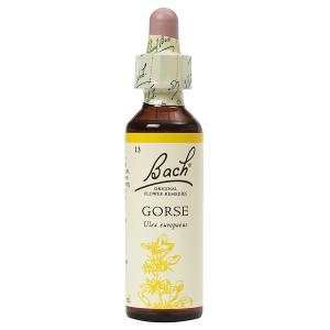 バッチフラワー ゴース 20ml アルコール 日本国内正規品 フラワーエッセンス バッチフラワーレメディ レスキューレメディ
