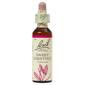 バッチフラワー スウィートチェストナット 20ml アルコール 日本国内正規品 フラワーエッセンス バッチフラワーレメディ レスキューレメディ