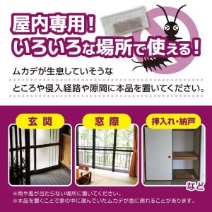 ムカデ 対策 忌避剤 ムカデブロック 20個セ...の詳細画像2