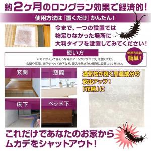 ムカデ 対策 ムカデブロック 大判タイプ 6個...の詳細画像3