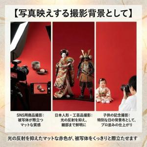 毛氈 高級 毛せん 赤 約90cm×180cm...の詳細画像5