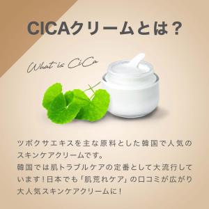 【30%OFFクーポン発行中!12日まで】 シ...の詳細画像5