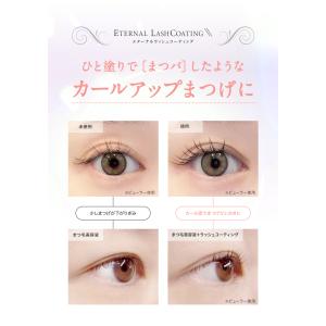 【2本購入で+1本無料!26日まで】 まつ毛 ...の詳細画像5
