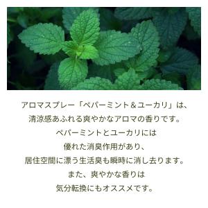 ペパーミント&ユーカリ 天然アロマ 消...の詳細画像2