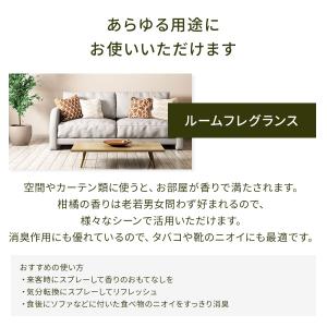 ペパーミント&ユーカリ 天然アロマ 消...の詳細画像3