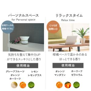 公式 詰め替え アロミックミニ 専用オイル 交...の詳細画像3