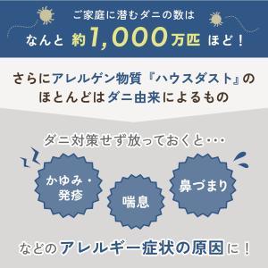 天然アロマ ダニ除け スプレー アンチダニー ...の詳細画像4