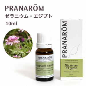 ドテラ グリーンマンダリン 15ml 使用期限：2028年1月 : 土佐