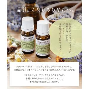 プラナロム ラベンダーアングスティフォリア (...の詳細画像1