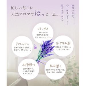 プラナロム ラベンダーアングスティフォリア (...の詳細画像2