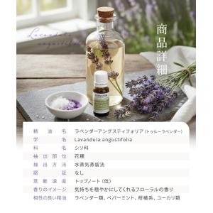 プラナロム ラベンダーアングスティフォリア (...の詳細画像4