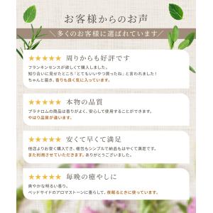 プラナロム ラベンダーアングスティフォリア (...の詳細画像5