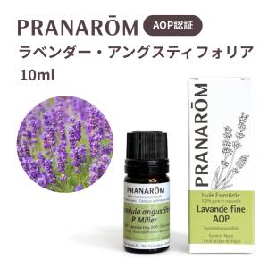 PRANAROM ダマスク（ローズオットー） 2ml プラナロム 精油 Ⅱ プラナロム（PRANAROM） ローズオットー BIO 2ml PRANAROM ダマスク