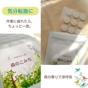 マスク アロマシール 森のこみち 15枚入り ...の詳細画像3