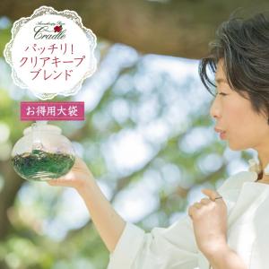 ハーバライフ ハーバル ティー コンセントレート アップル カモミール