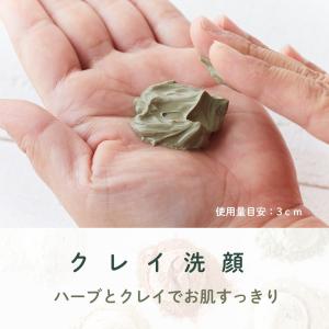 アロマフランス クレイ&ハーブウォーターペース...の詳細画像3