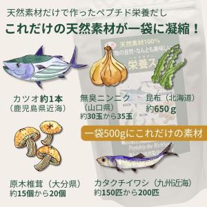 千年前の食品舎 だし千年 だし&栄養スープ ペ...の詳細画像2