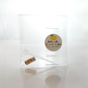 みかんの木の剪定 夏の商品一覧 通販 Yahoo ショッピング