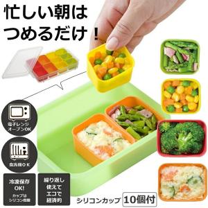 お弁当用小分け保存容器 SMT2SL  ベビーグッズ 離乳食 スケーター シリコンカップ10個付 大60ml×4 小35ml×6｜aromagestore