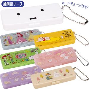 1~7営業日出荷 絆創膏 ケース 小物入れ ZBMLC1 歯間ブラシや綿棒入れにも 衛生用品 収納 持ち歩き キャラクター かわいい スケーター メール便 爆買