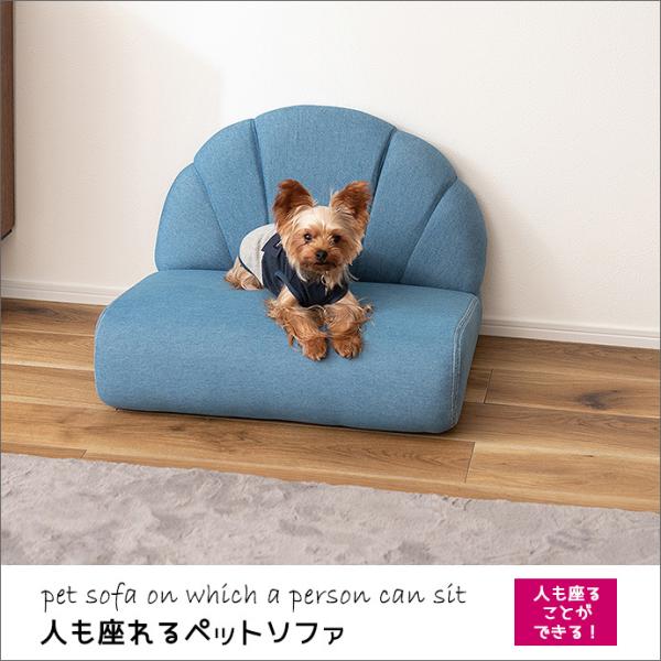 人も座れる ペット ソファ 犬 猫 ネコ ねこ キャットドッグ ナチュラル インテリア ブルー