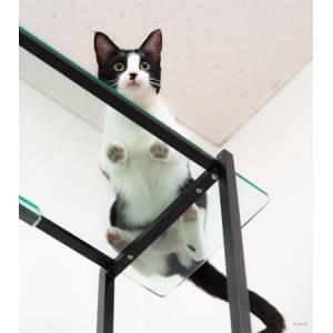 キャットタワー ガラス パウズ クロップ Cat Shelf Paws Crop extail エクステイル