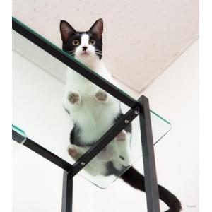 キャットタワー ガラス パウズ クロップ Cat Shelf Paws Crop extail エクステイル｜aromainterior