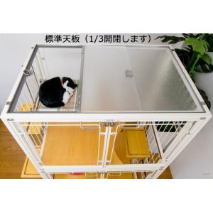 扉と後面がアクリル 猫 ケージ 2段 観音開き...の詳細画像3