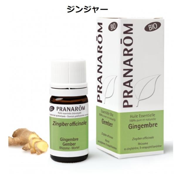 プラナロム ジンジャー BIO 5ml PRANAROM しょうが 生姜 精油 エッセンシャルオイル...