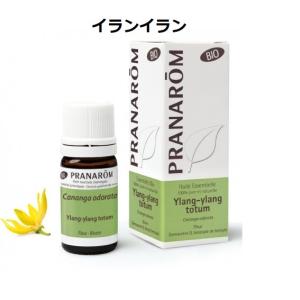 プラナロム（PRANAROM） ラヴィンツァラ BIO 10ml PRANAROM ラベンサラ