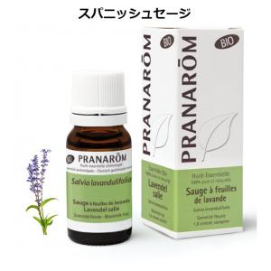 プラナロム（PRANAROM） ジャスミン 5ml PRANAROM 精油