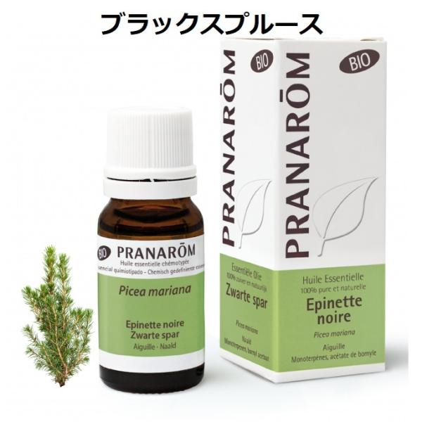 プラナロム ブラックスプルース BIO 10ml PRANAROM 精油 エッセンシャルオイル アロ...