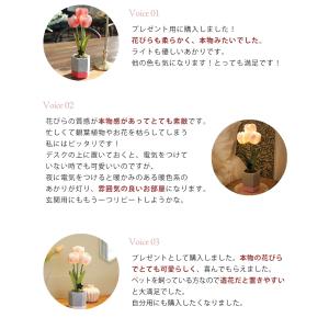 造花 インテリア フラワーライト キューティチ...の詳細画像2