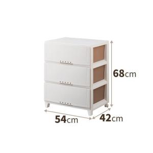 天馬 ルームケース L-6004 カプチーノ : AROTHOヤフー店 - 通販