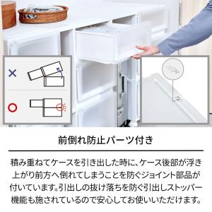 天馬 フィッツケース アドバンス 55-45S...の詳細画像4