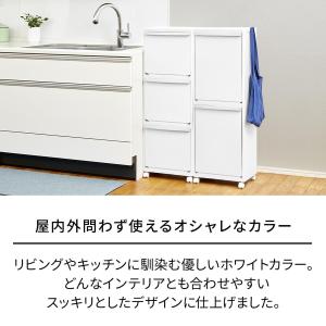 天馬 ホワイトラッシュ 多段分別 WR-3521の詳細画像2