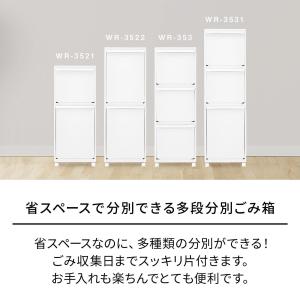 天馬 ホワイトラッシュ 多段分別 WR-3521の詳細画像3