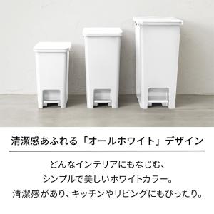 天馬 ホワイトラッシュ ペダルペール 20Lの詳細画像1