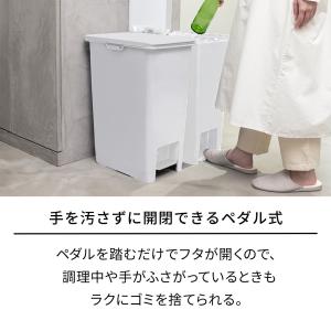 天馬 ホワイトラッシュ ペダルペール 20Lの詳細画像2
