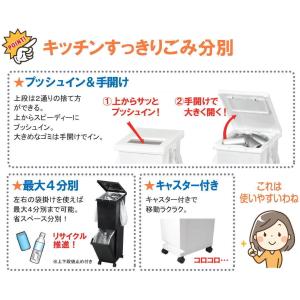 ユニード 分別スリム2段 55S ブラック ゴ...の詳細画像2