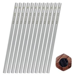 太芯４B 硬筆書写用かきかた鉛筆 １２本入り 銀軸鉛筆 六角 机から落ちない シンプルデザイン LESALPES