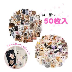 シャグ テイキ 花瓶 Vase 緑 正規品 Japan Exclusive 2006年製DEAD