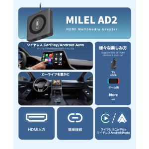 【セール】MILEL AD2 ミレル Car ...の詳細画像1
