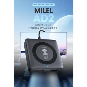 【セール】MILEL AD2 ミレル Car ...の詳細画像5