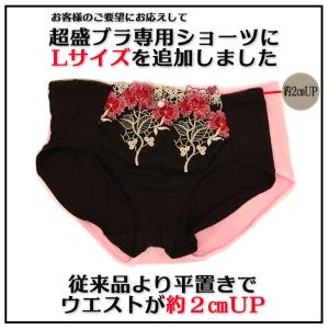 【3枚セット】超盛 ブラジャー ブラ ショーツ...の詳細画像1