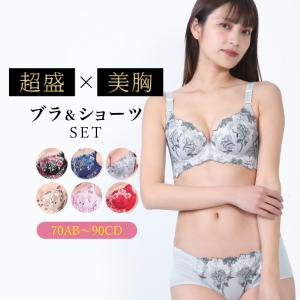 ブラジャー ショーツ セット 脇肉 育乳ブラ ...の詳細画像1