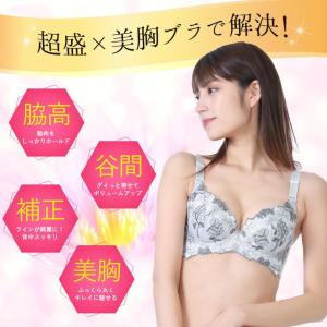 ブラジャー ショーツ セット 脇肉 育乳ブラ ...の詳細画像2