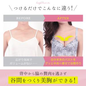ブラジャー ショーツ セット 脇肉 育乳ブラ ...の詳細画像3